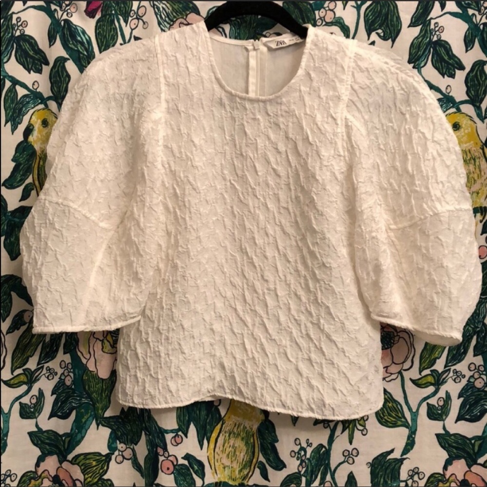 NWT Zara Short Puff Sleeve Lace Shirt
